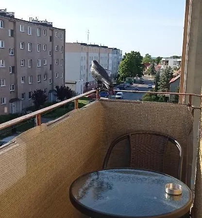 Apartament Nemo Władysławowo Zewnętrze zdjęcie