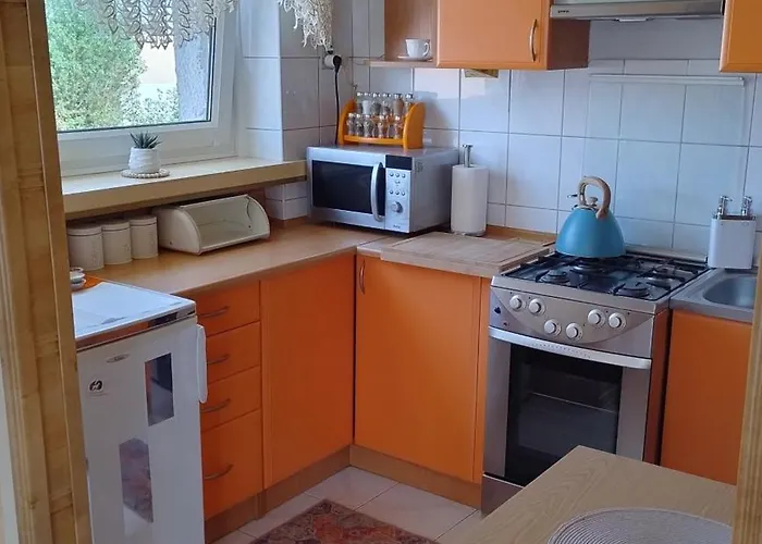 Apartament Nemo