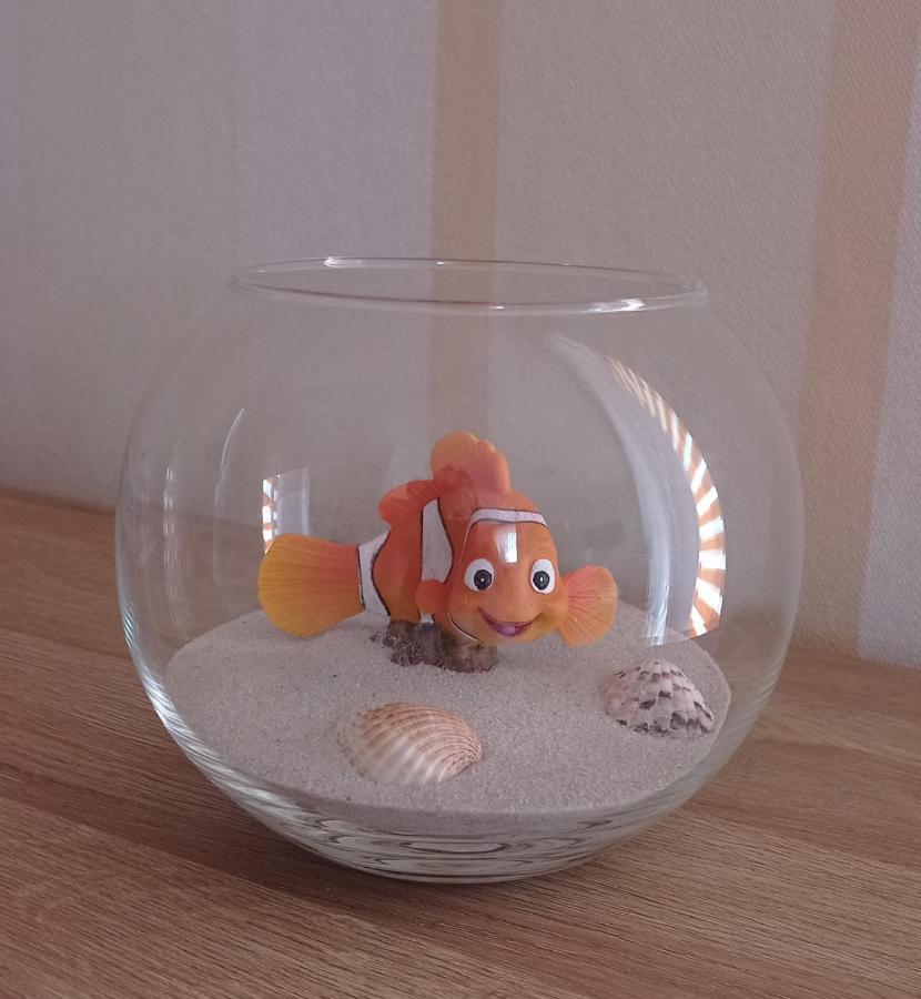 Nemo Apartment Wladyslawowo